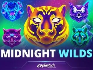 Midnight Wilds screenshot